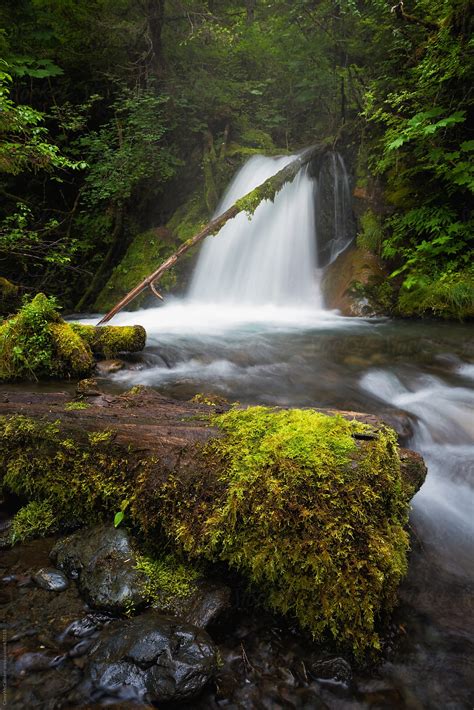 Alaska Waterfall By Stocksy Contributor Casey Mccallister Stocksy