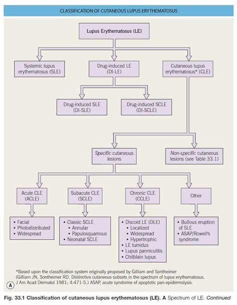 Drug Induced Lupus