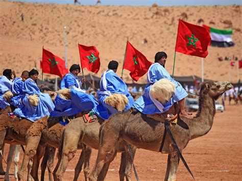 Marrakech Camel Ride Activity