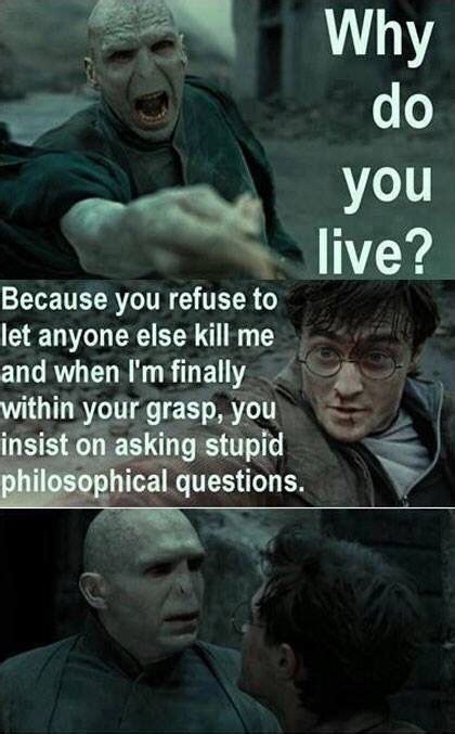 Harry Potter Logic Memes That Show The Series Doesnt Make Sense