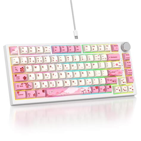 Sbockeeb V Custom Gaming Keyboard Percent Hot Swappable Wired Mechanical Rgb Keyboard