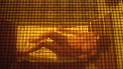 Two Gingers Porn Videos Sex Model Nudes XHamster