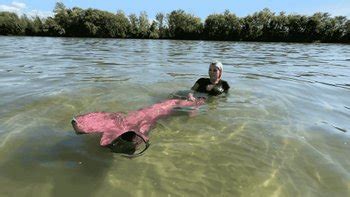 MERMAID FETISH Videos And Porn Clips Clips4Sale