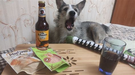 Собутыльник | Пикабу