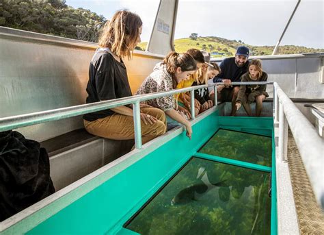 Glass Bottom Boat Tour Glass Bottom Boat Ltd Reservations