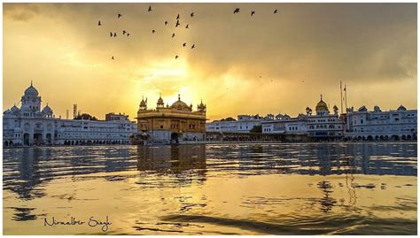 pin  horst kroeger  golden temple place   sikhs golden