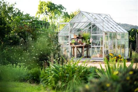 Langkah Ciptakan Greenhouse Mini Berkebun Di Lahan Sempit