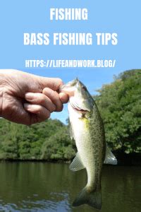 Essential Tips for Successful Bass Fishing Techniques
