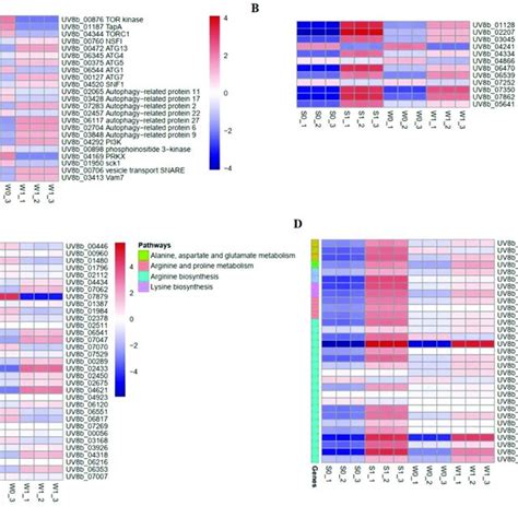 Gene Ontology Go And Kegg Functional Classification A Most