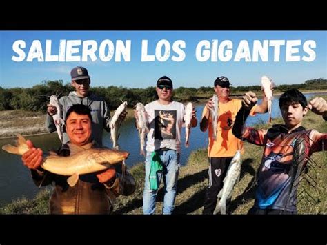 Los Gigantes PESCA DE MONCHOLOS En Saladillo Amargo San Justo YouTube