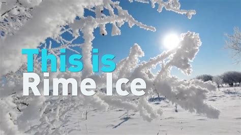 What is 'Rime Ice'? - CGTN