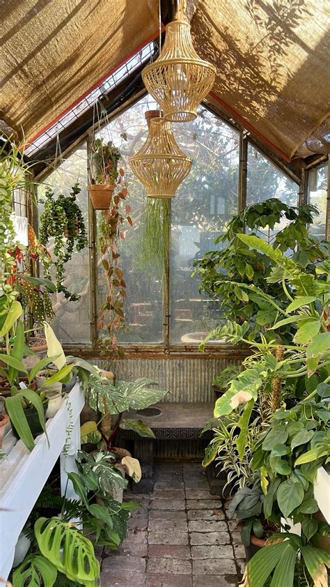 Greenhouse Plants Tropical Greenhouses Greenhouse Greenhouse Plants