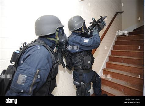 Police SWAT weapons training. Tactical firearms officers practice ...