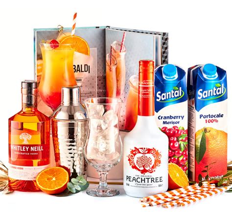 Pachet Sex On The Beach Cocktail Kit Pachete FineStore