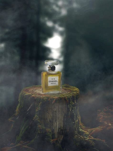 Chanel No 19 Eau de Parfum Chanel аромат — аромат для женщин
