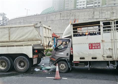 寶琳路運危品貨車撼泥頭車 司機重創被困｜即時新聞｜港澳｜oncc東網