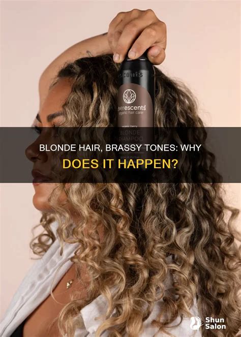 Blonde Hair Brassy Tones Why Does It Happen ShunSalon