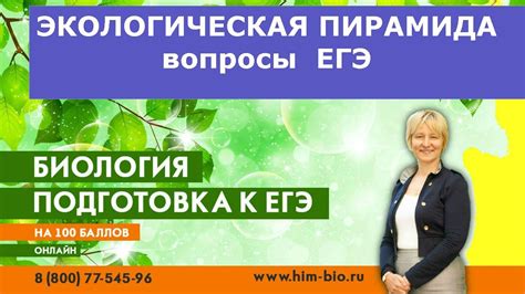 Экологическая пирамида. Это есть в ЕГЭ , ГИА,ОГЭ. Экология. Биология ...