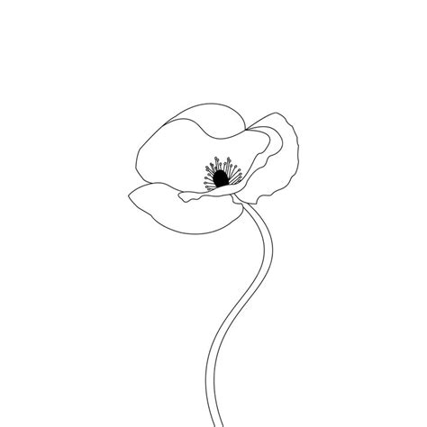 Premium Vector Hand Drawn Poppy Flower Outline Illustration