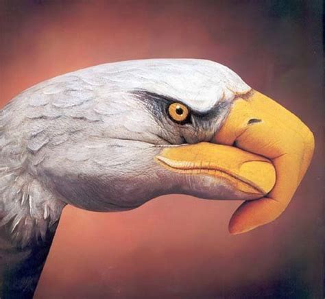 amazing optical illusions xcitefunnet
