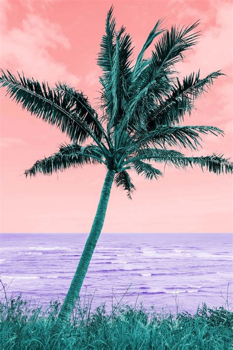 [100+] Palm Tree Beach Wallpapers | Wallpapers.com