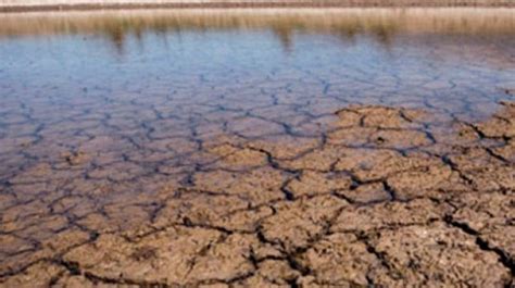 Productores cooperativos en alerta por la sequía en Argentina