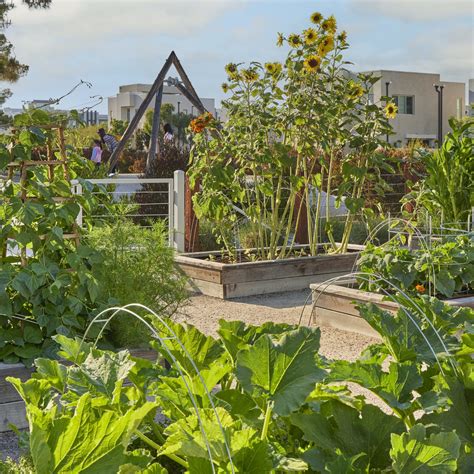 Great Park Neighborhoods Farmscape