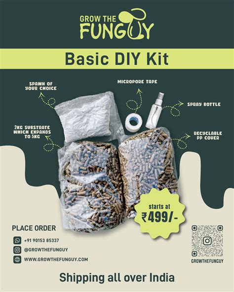 Starter Mushroom Grow Kit Growthefunguy