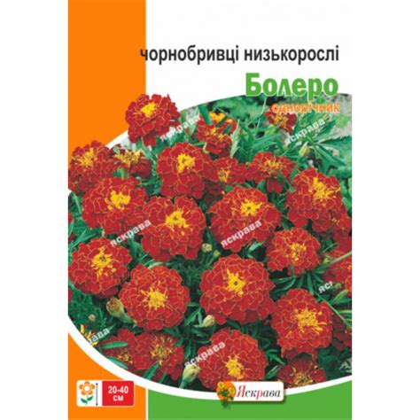 Семена Бархатцы низкорослые Болеро 5 г - купить с доставкой по Украине ...