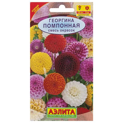 Георгина помпонная смесь окрасок ️ купить по цене 40 ₽/шт. в Москве с ...