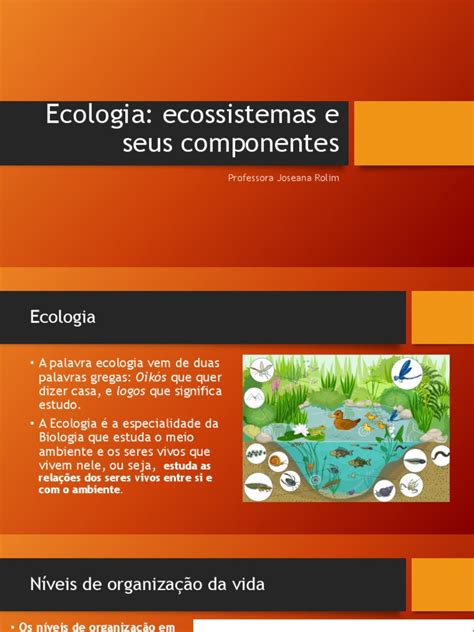 Quais São Os Componentes De Um Ecossistema - Componentes dos Ecossistemas e Ecologia | PDF | Ecologia | Ecossistema