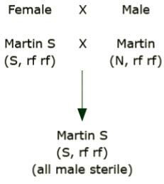 Chapter Controlled Hybridization Self Incompatibility Male Sterility And Sex Inheritance
