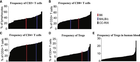 Extensive Homeostatic T Cell Phenotypic Variation Within The