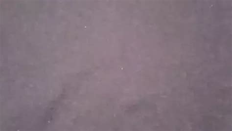 Free T Shirt Gay Porn Videos XHamster