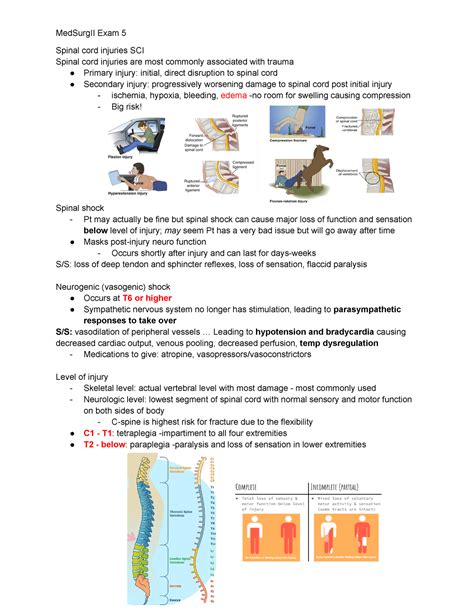 Med Surg II Exam 5 Study Guide Spinal Cord Injuries SCI Spinal Cord