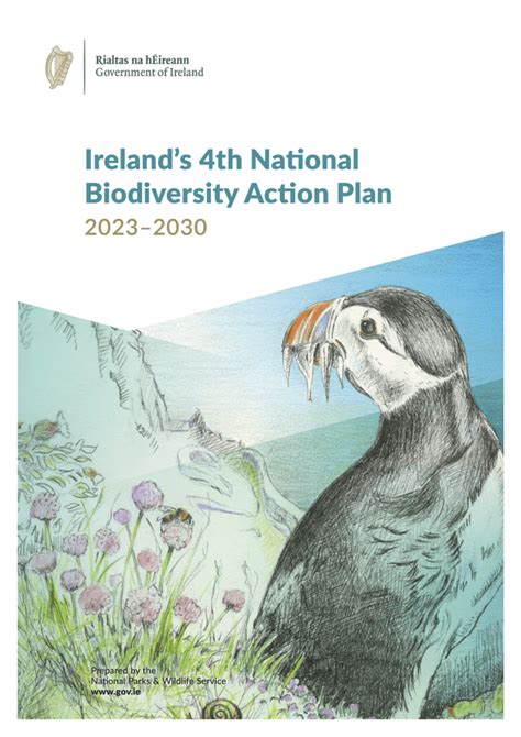 National Biodiversity Action Plan Published Irish Whale And Dolphin Group