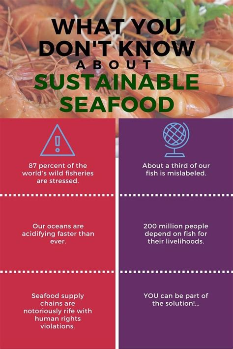 7 Things You Need To Know About The Sustainable Seafood Movement