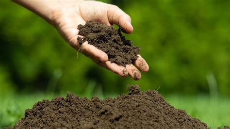 Digging Deeper Unraveling The Secrets Of Soil Composition