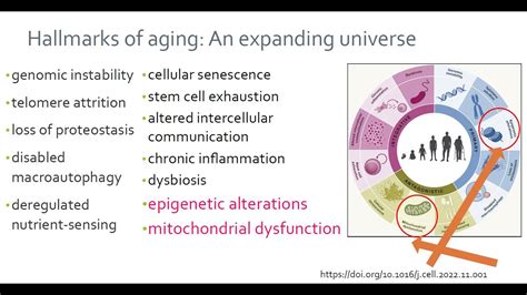 Hallmarks Of Aging Curedao Transhuman Coin Thc Sab Meeting