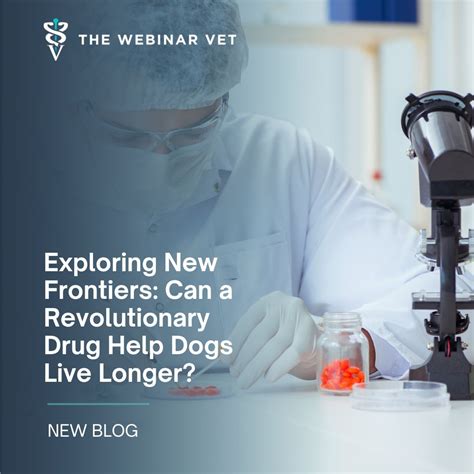 The Webinar Vet on LinkedIn: 🐾 Can a New Drug Extend Your Dog's Life? 🐶 ...