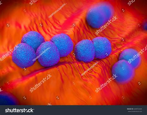 3d Rendering Neisseria Gonorrhoeae Bacteria 스톡 일러스트 640972444