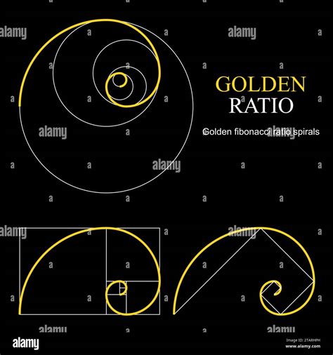 Golden Ratio Template Set Proportion Symbol Graphic Design Element