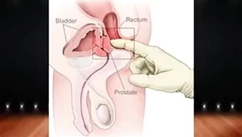 Free G Spot Porn Videos Xhamster