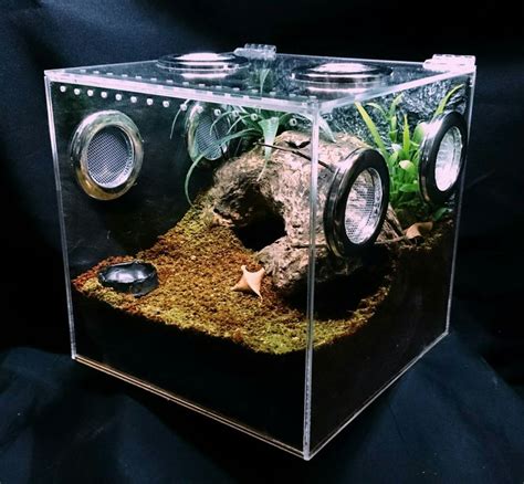 Terrarium Tarantula Enclosure Pet Tarantula Reptile Terrarium