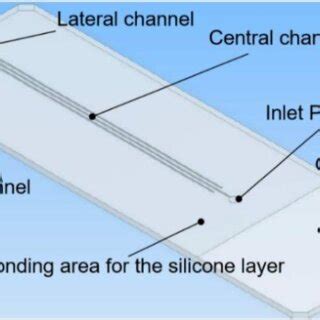 concept   microfluidic device  scientific diagram