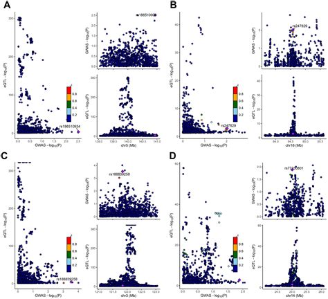 Potential Marker Genes For Chronic Obstructive Pulmonary Disease