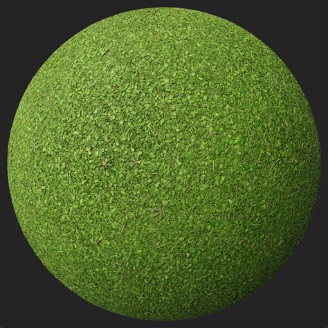 grass  ambientcg