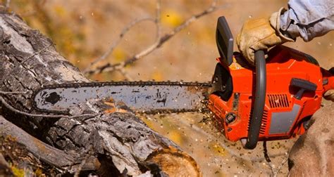 Chainsaw Safety 101 How To Not Lose A Limb