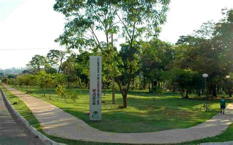 Parques E Bosques De Goi Nia Para Curtir Nas F Rias