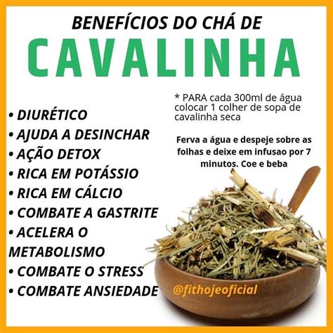 Cavalinha É Abortivo